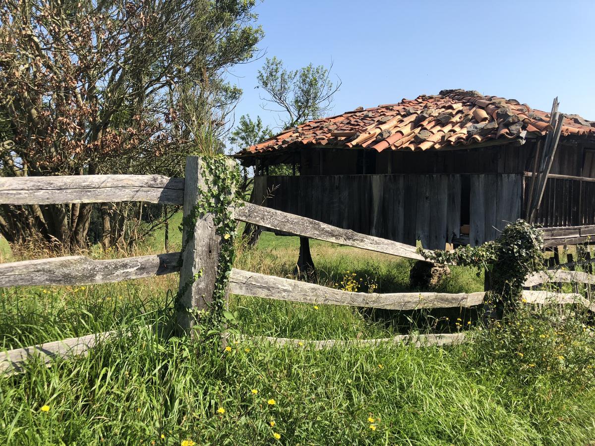 Hotel Tejera Del Nalon Soto Del Barco Buitenkant foto